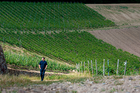 Weingut Leitz